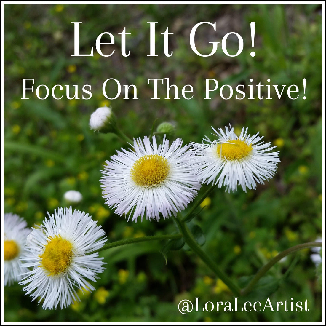 Focus On The Positive and Let The Rest Go! - LoraLeeArtist