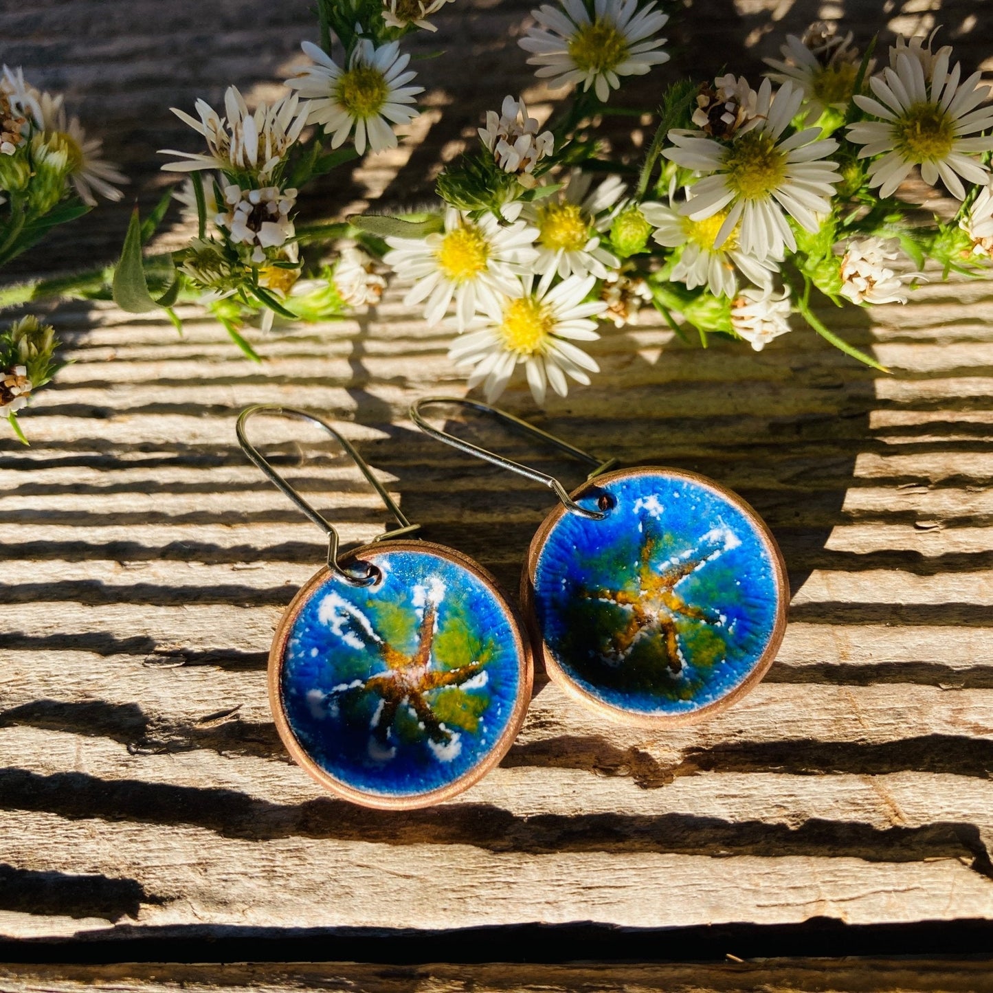 Earth Colored Enameled Coin Earrings - LoraLeeArtist